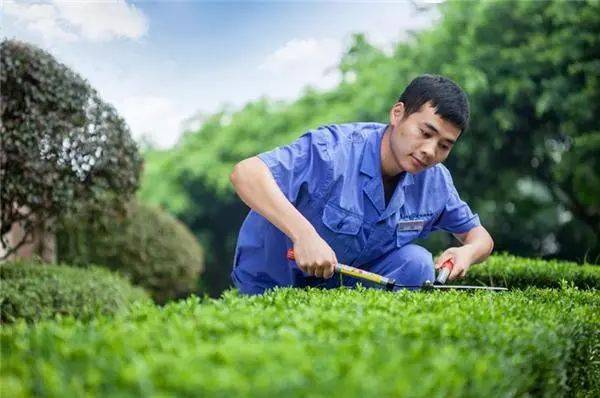 小區(qū)物業(yè)環(huán)境管理服務(wù)規(guī)范清潔衛(wèi)生綠化養(yǎng)護(hù)環(huán)境消殺