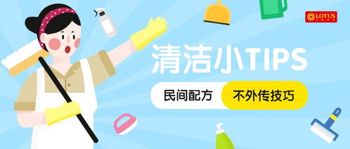 硬核清潔妙招,廚房清理只需幾步